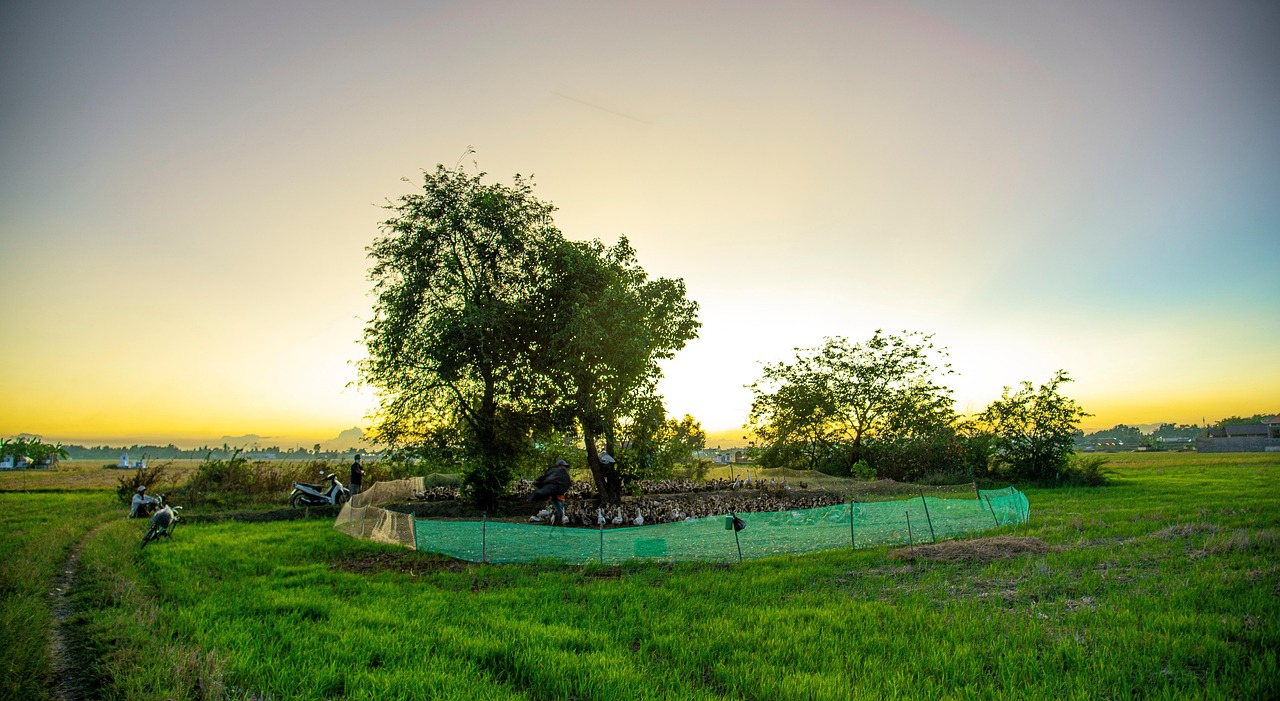 Featured Kijong Dong Vesnice Duchu 1768483659666