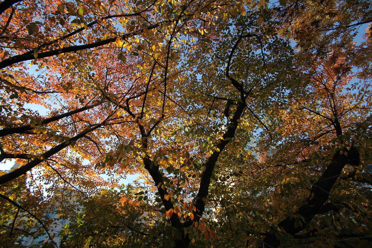 Pohled na prázdné budovy propagandistické vesnice Kijong-dong v Severní Koreji.