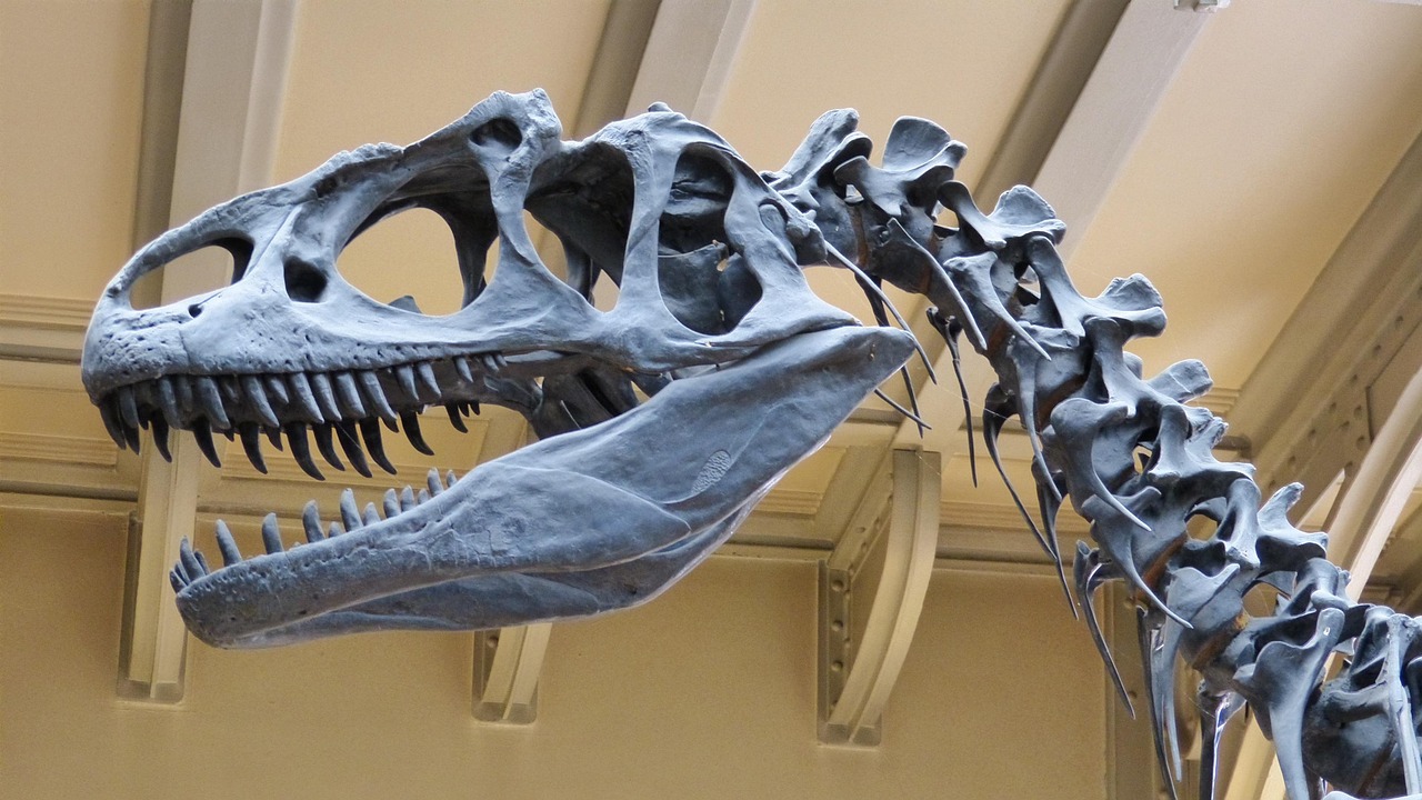 Děti objevují dinosaury v lesním dinoparku