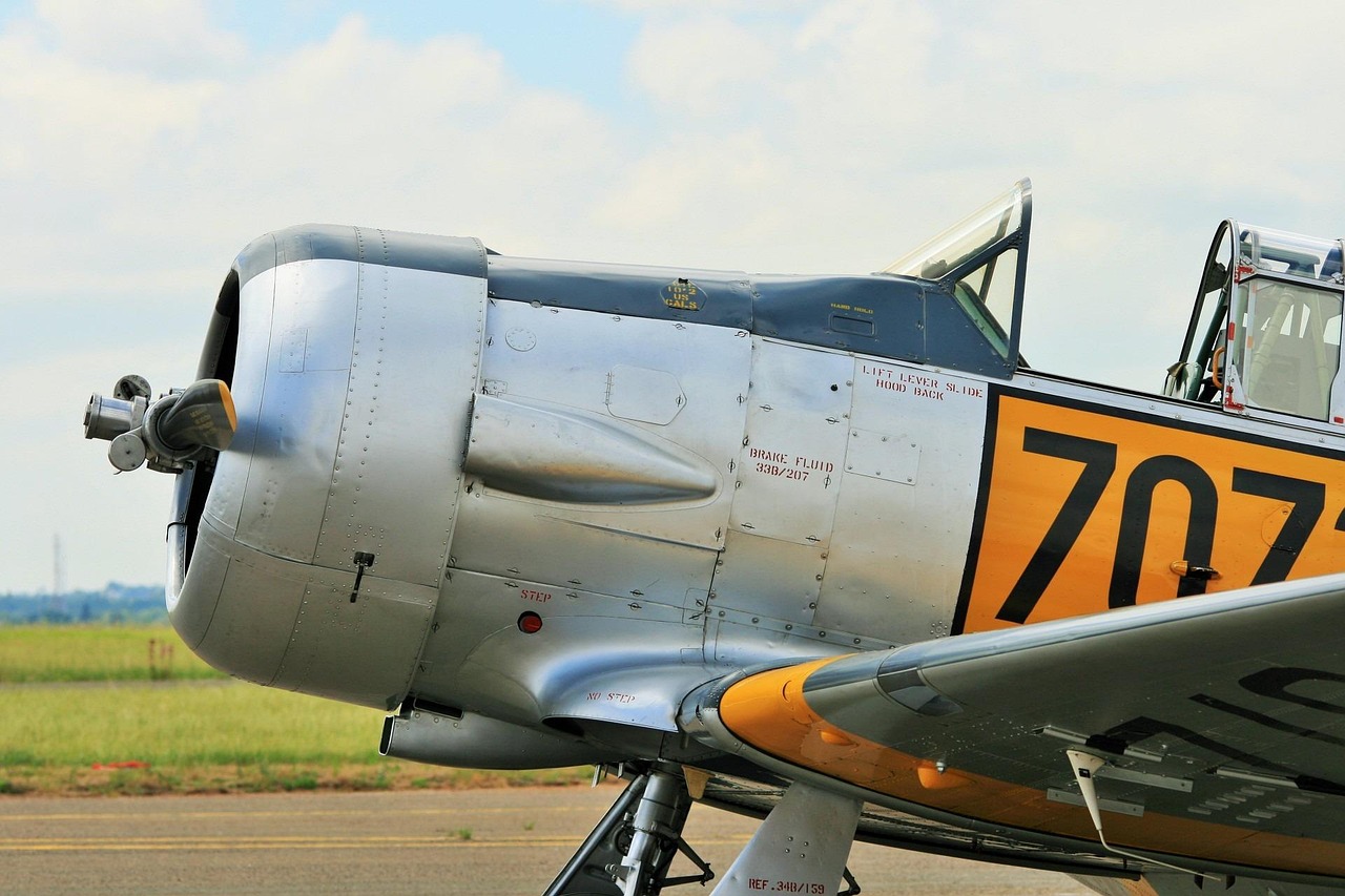 Skupina studentů studující v knihovně Harvardské univerzity