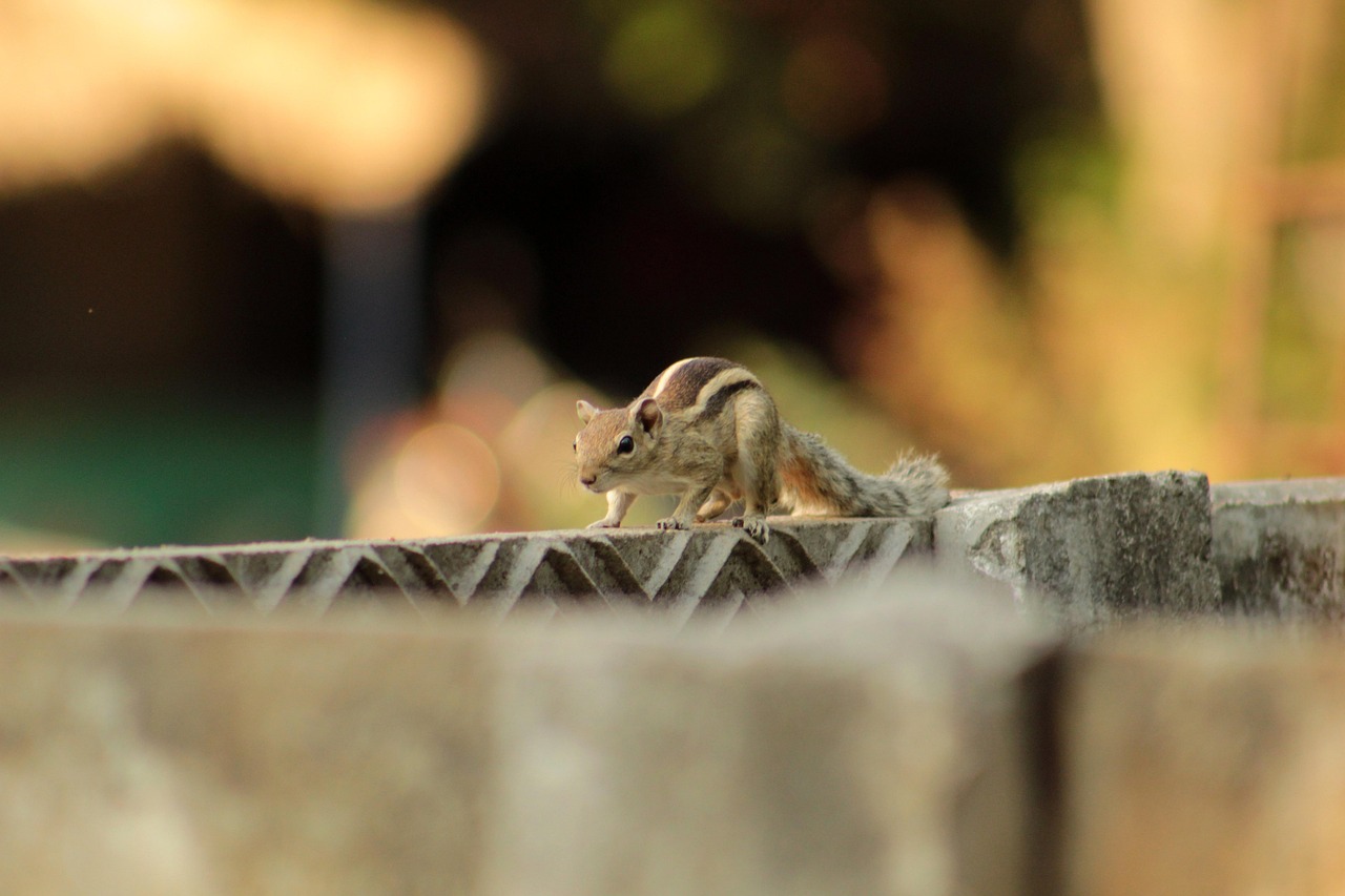 Elegantní vjezdová brána Lamark z hliníku s precizními detaily u moderního domu